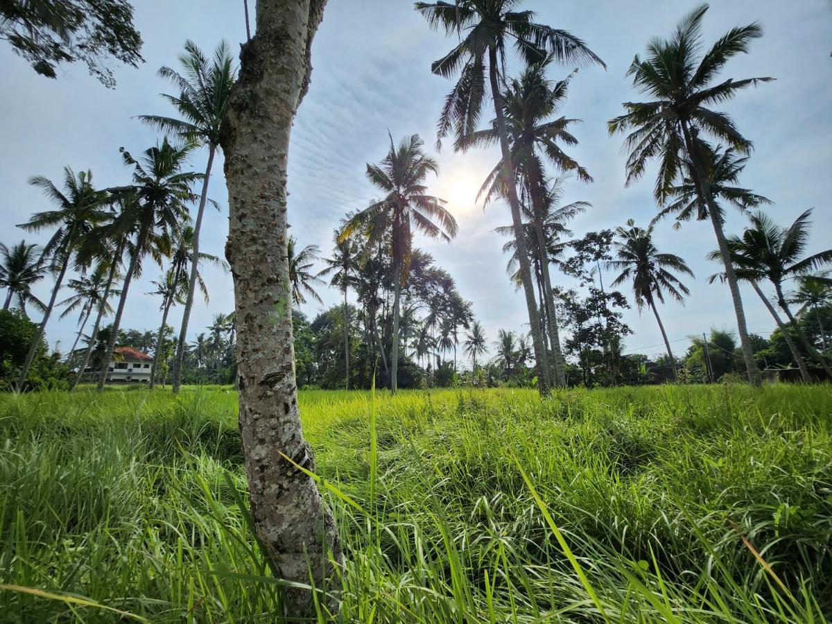 Casa Idea Ubud エクステリア 写真